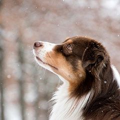 70位のイメージ