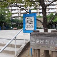 174位のイメージ