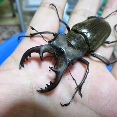 30位のイメージ