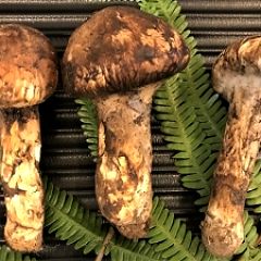 23位のイメージ