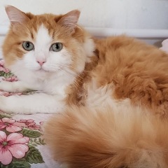 1109位のイメージ