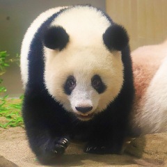 42位のイメージ