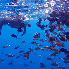 32位のイメージ