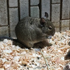 25位のイメージ