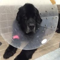 14位のイメージ