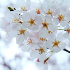 14位のイメージ