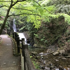 113位のイメージ