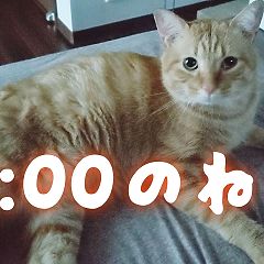 19位のイメージ