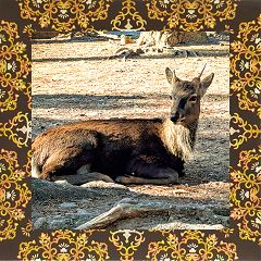 18位のイメージ