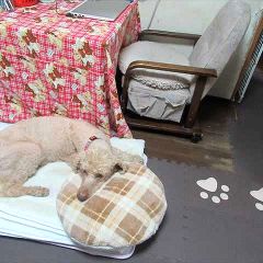 17位のイメージ