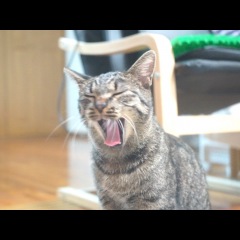 16位のイメージ