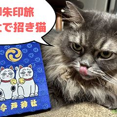 153位のイメージ