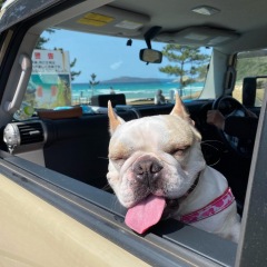 14位のイメージ