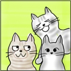 172位のイメージ