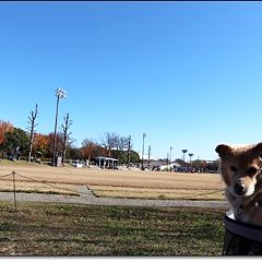 87位のイメージ