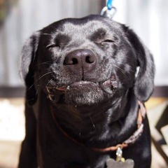 16位のイメージ