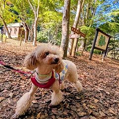 36位のイメージ