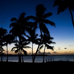 39位のイメージ