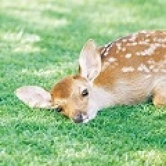 18位のイメージ