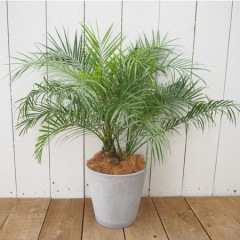 23位のイメージ