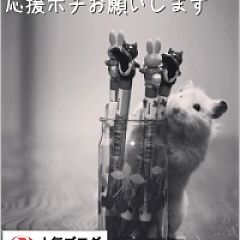 58位のイメージ