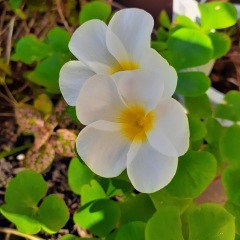 25位のイメージ