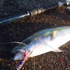 68位のイメージ