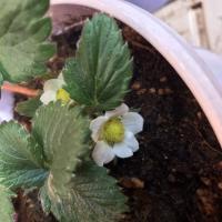 15位のイメージ