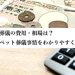 74位のイメージ