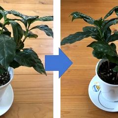 95位のイメージ