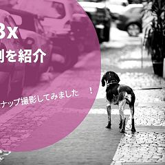 12位のイメージ