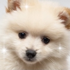 33位のイメージ