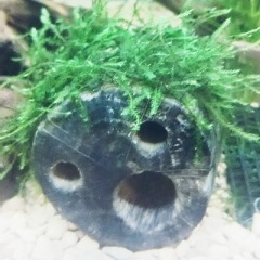 16位のイメージ