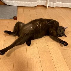 19位のイメージ