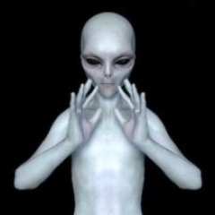 13位のイメージ