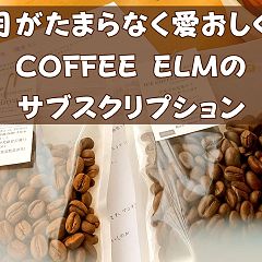 97位のイメージ