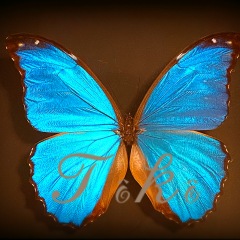 15位のイメージ