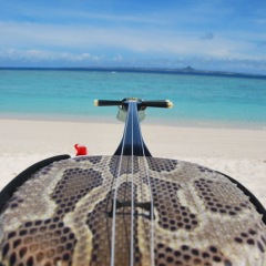 15位のイメージ