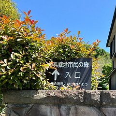 20位のイメージ