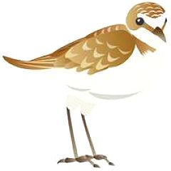 15位のイメージ