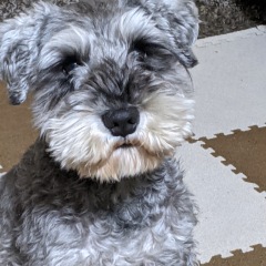 16位のイメージ