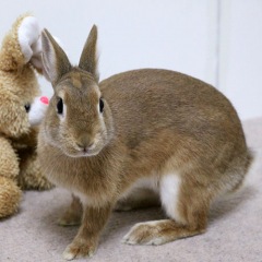 12位のイメージ