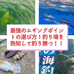 27位のイメージ