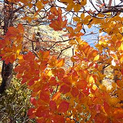 27位のイメージ