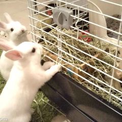 13位のイメージ