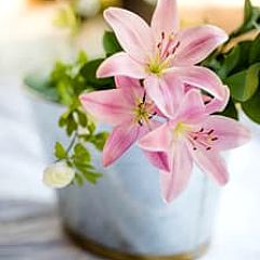 10位のイメージ