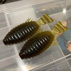 13位のイメージ