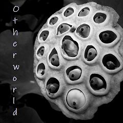 28位のイメージ