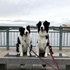 16位のイメージ