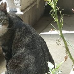 13位のイメージ